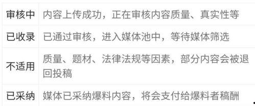 爆料视频指的是哪些内容,内容大曝光，真相一一揭晓  第1张